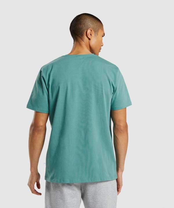 Panske Tricka Gymshark Sharkhead Infill Tyrkysové | CA7634902